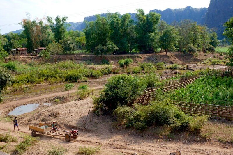 Satri_House_E5_Half-Day Elephants_1